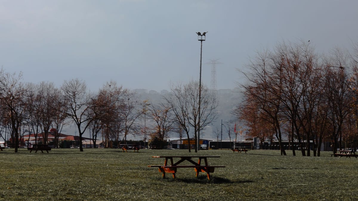Mesa de picnic de madera vacía sobre el césped de un parque con árboles sin hojas
